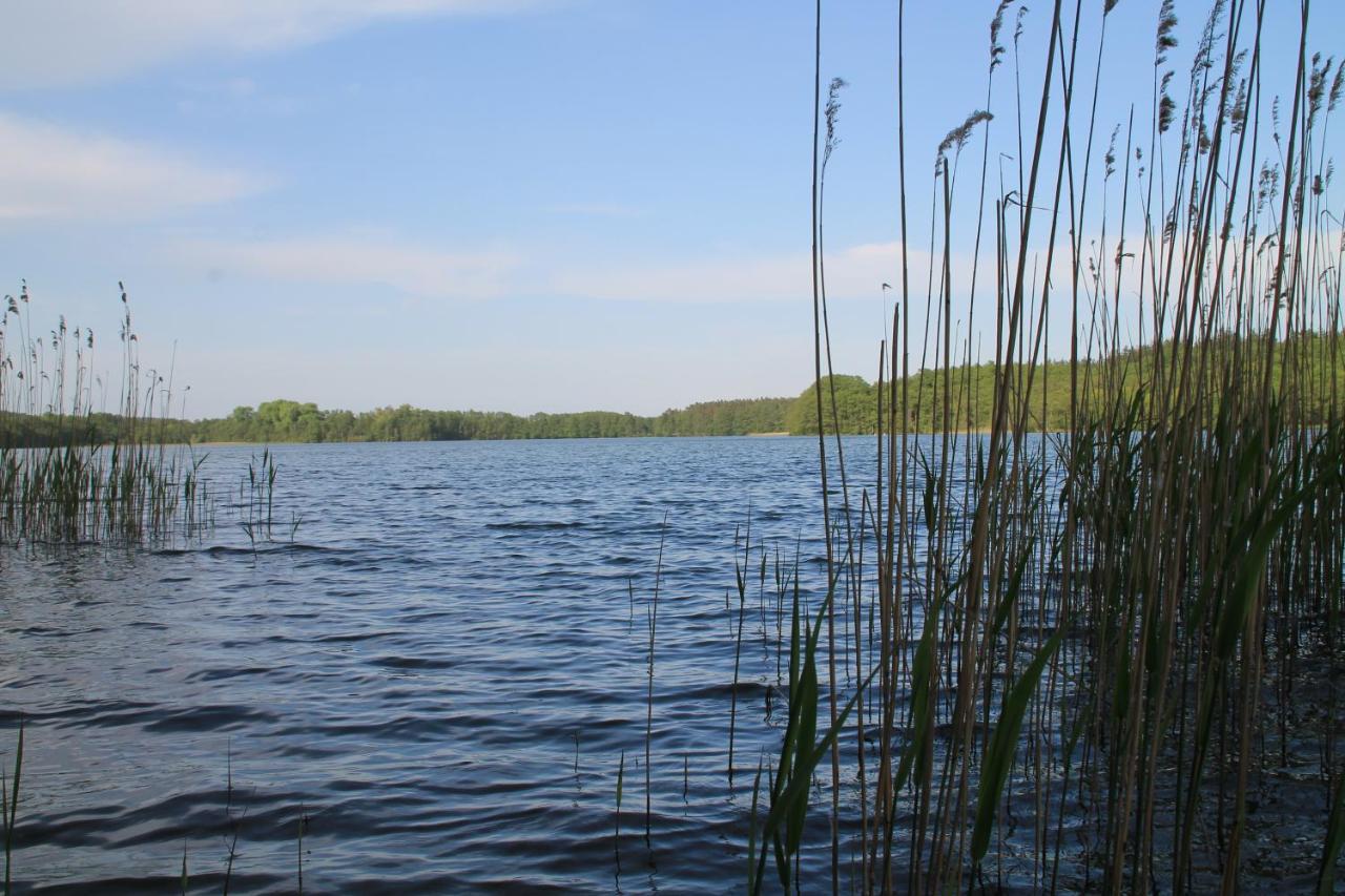 Appartamento Alt Sammit Krakow am See Esterno foto